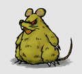 Artwork of the Yellow Rat