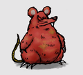 Artwork of the Red Rat